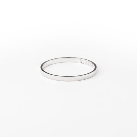 Anel Minimal